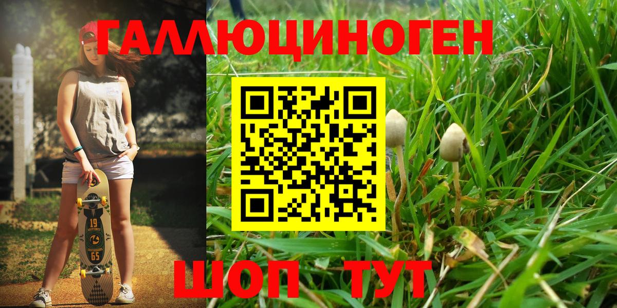 Псилоцибиновые грибы GOLDEN TEACHER  Вход с VPN  Нягань  Галлюциногенные грибы Psilocybine cubensis 